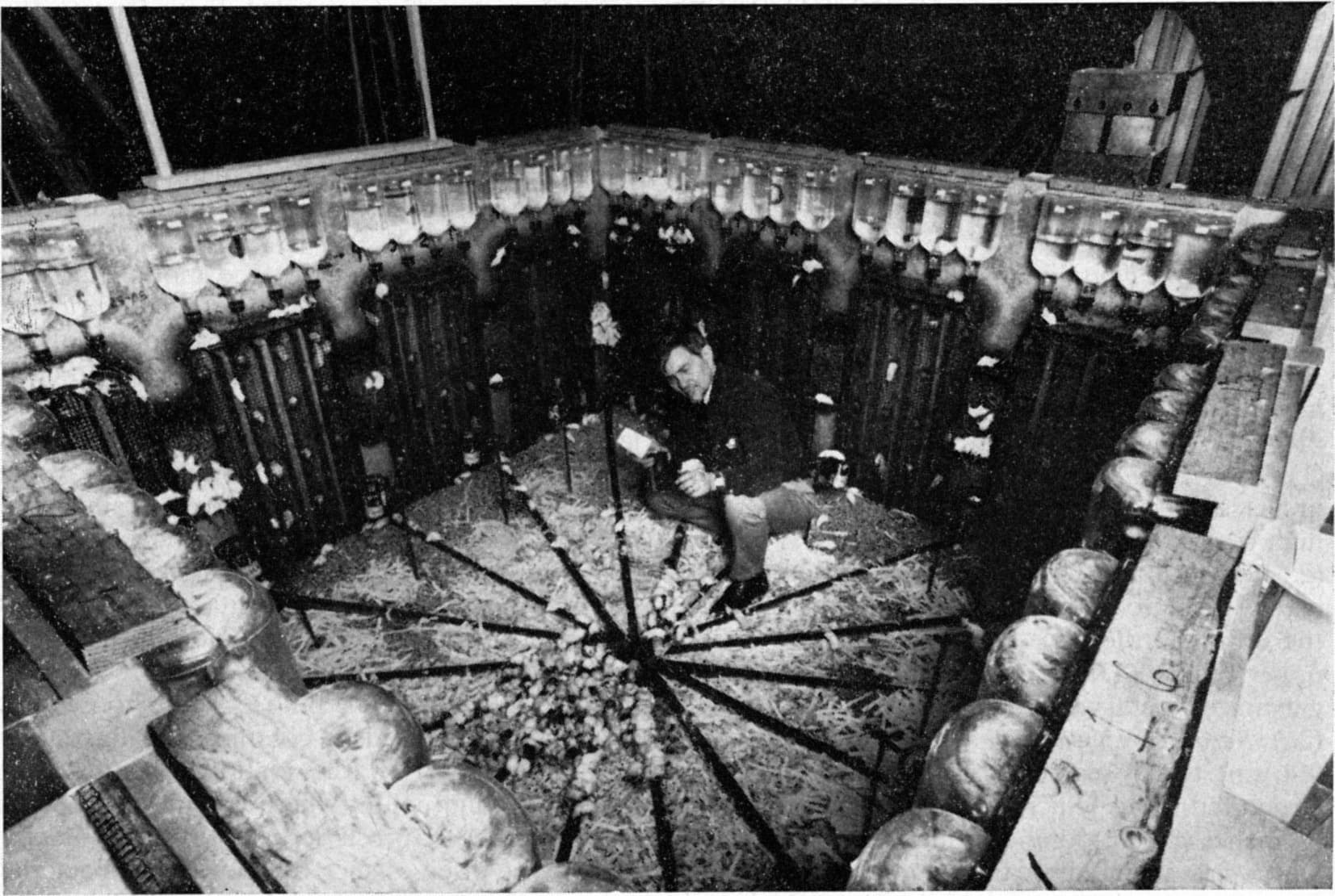 John Calhoun crouching inside Universe 25, his famous mouse-behavior experiment, February 1970